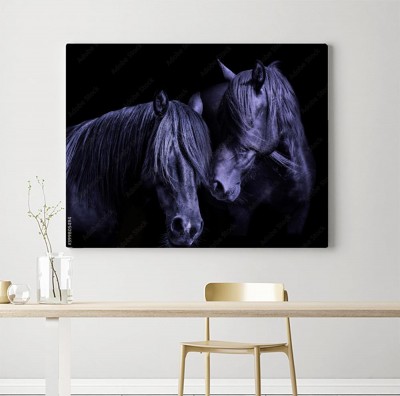 Obraz na płótnie Dwa konie