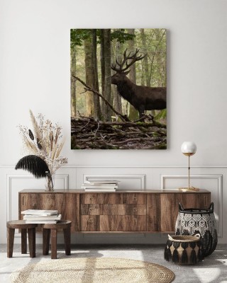 Obraz na płótnie Jeleń w leśnym krajobrazie
