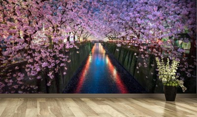 Fototapeta Kwiat wiśni na wiosnę