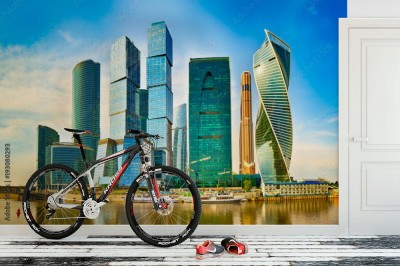 Fototapeta Panoramę miasta Moskwy