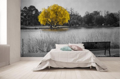 Fototapeta Żółte drzewo w czarno-białej scenerii krajobrazowej z pustą ławką w parku z widokiem na wodę
