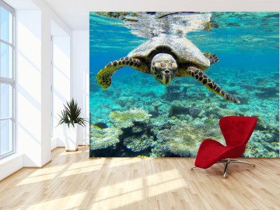 Fototapeta Żółw morski w ruchu