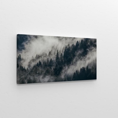 Obraz na płótnie Gęsta poranna mgła w alpejskim krajobrazie z jodłami i górami 