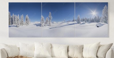Obrazy do salonu Zimowa panorama - śnieżny zimowy krajobraz