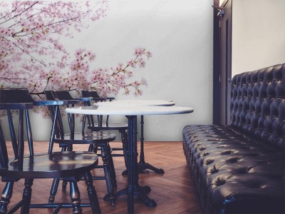 Fototapeta Drzewo sakura