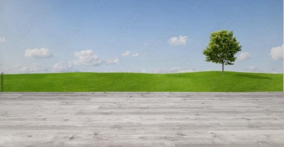 Fototapeta Panorama z zieloną łąką i samotnym drzewem