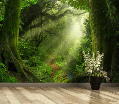 Fototapeta Tropikalna dżungla