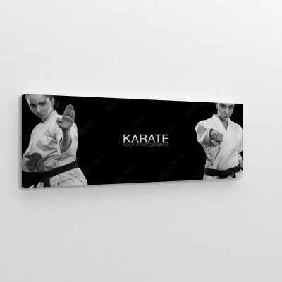 panoramiczny-motyw-karate