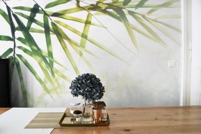 Fototapeta Bambusowe liście i światło słoneczne