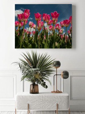 Obrazy do salonu Holenderskie tulipany