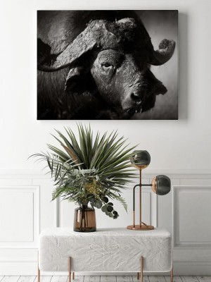 Obraz na płótnie Portret byka afrykańskiego bawole