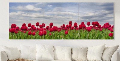 Obraz na płótnie Tulipany w panoramie