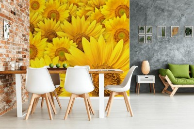 Fototapeta do sypialni w słoneczniki