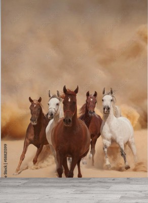 Fototapeta Konie w piasku