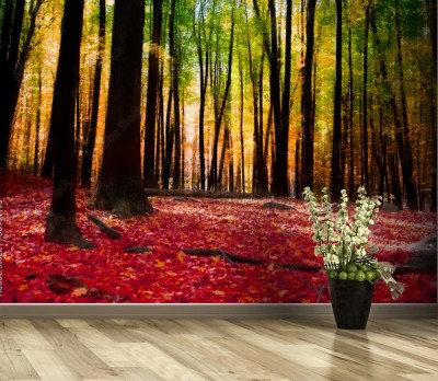 Fototapeta Las jesienią ze złotym światłem