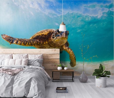 Fototapeta Zagrożony hawajski żółw morski w wodach oceanicznych