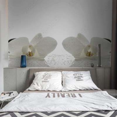 Fototapeta Koncepcja spa w ujęciu panoramicznym