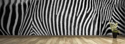 Fototapeta Abstrakcyjny motyw Zebry 