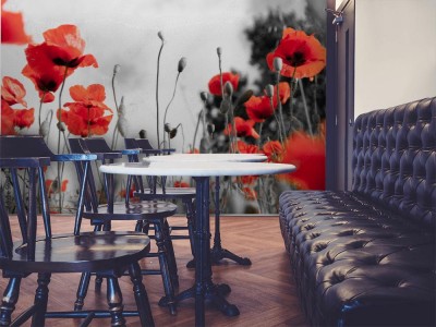 Fototapeta Pole maku jako symbol Pamięci