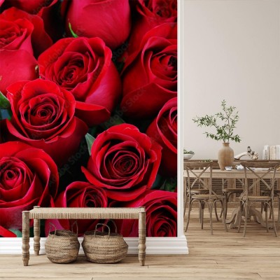 Fototapeta Tło z czerwonych róż