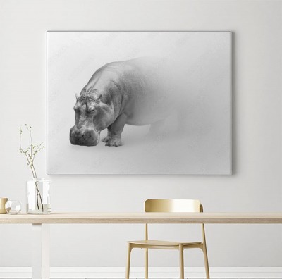 Obraz na płótnie Hipopotam - artystyczna kolekcja afrykańskich zwierząt