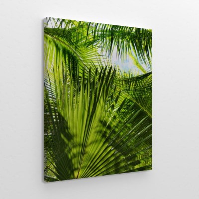 zielona-dzungla-palmowa
