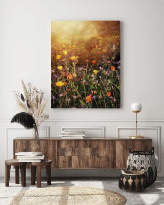 Obraz na płótnie Pole kwiatów w letnim słońcu 