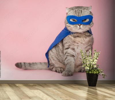 Fototapeta Kot superbohater