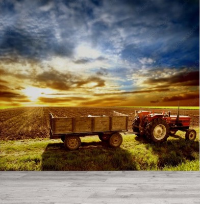 Fototapeta Traktor przed zmrokiem