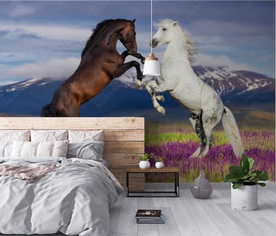 Fototapeta Dwa konie na kwietnej łące