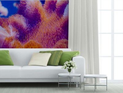 Fototapeta Koral w głębokim błękitnym morzu