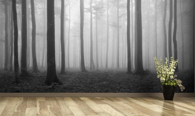 Fototapeta Las bukowych wśród mgieł