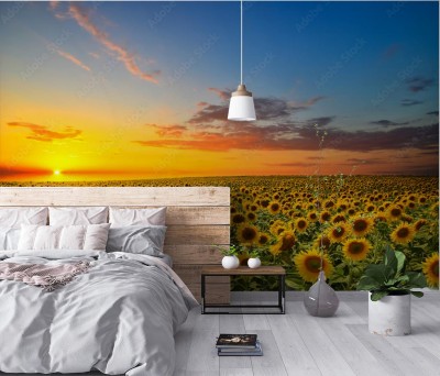 Fototapeta Słoneczniki w zachodzącym słońcu