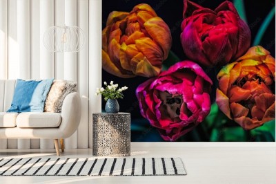 Fototapeta Surrealistyczny bukiet czerwonych, różowych i żółtych kwiatów tulipanów na naturalnym rozmytym tle