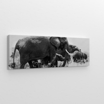 cyfrowe-malarstwo-akwarelowe-przedstawiajace-slonia-w-lesie