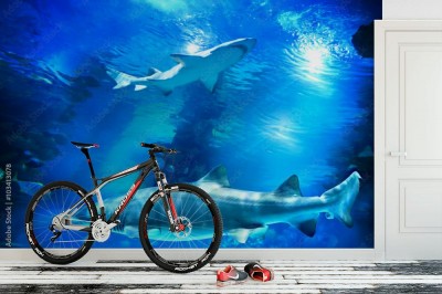 Fototapeta Rekiny i małe ryby w akwarium