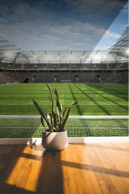 Fototapeta Stadion piłkarski od strony bramki