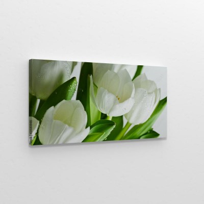 biale-tulipany