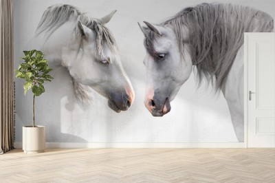 artystyczny-portret-dwoch-bialych-koni