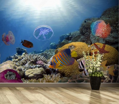 Fototapeta Kolorowej rafy podwodny krajobraz z rybami