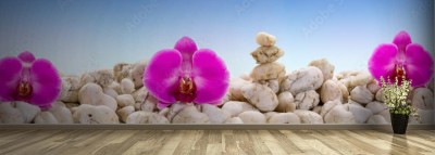 Fototapeta Panorama z purpurowymi orchideami na białych kamieniach