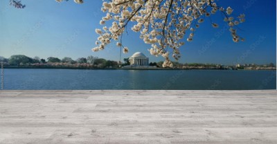 Fototapeta Panoramiczny widok Jefferson Memorial i Cherry Blossoms na wiosnę