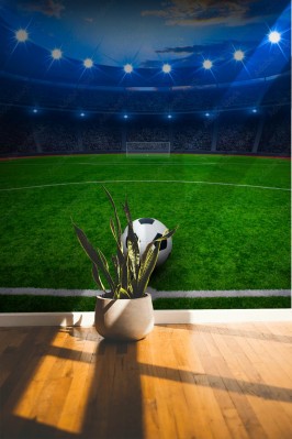 Fototapeta Piłka nożna na zielonym stadionie