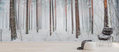Fototapeta z panoramicznym widokiem konarów drzew w czasie mgły