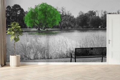 Fototapeta Zielone drzewo w czarno-białej scenerii krajobrazowej z pustą ławką w parku z widokiem na wodę