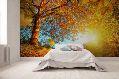 Fototapeta Złota jesienna sceneria z dużą ilością słońca