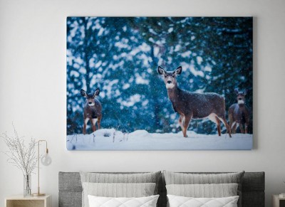 Obraz na płótnie Jeleń w śniegu