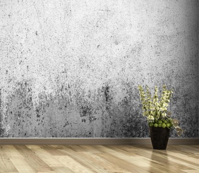 Fototapeta Czarnobiała metalowa tekstura