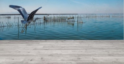 Fototapeta Ptak nad jeziorem