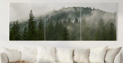 Obraz na płótnie Las iglasty w porannej mgle